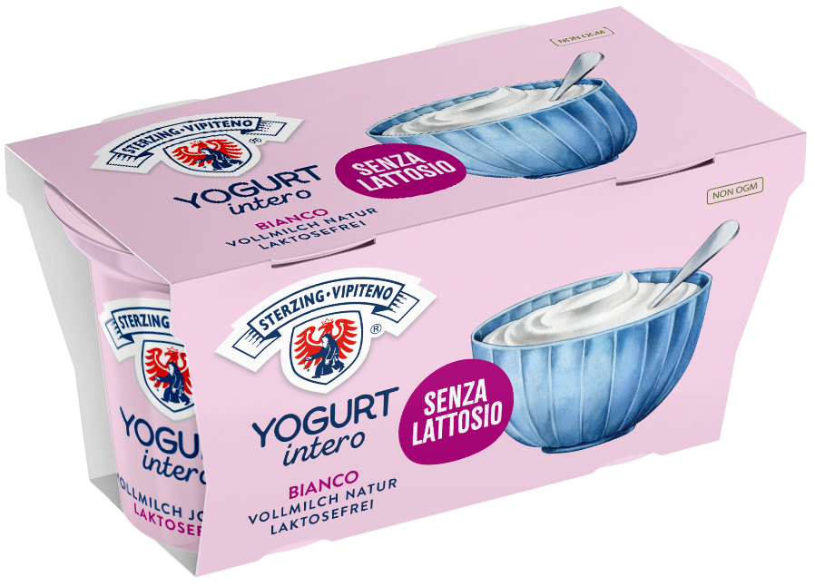 Whole milk yoghurt lactose free - 125g x 2 - natural
