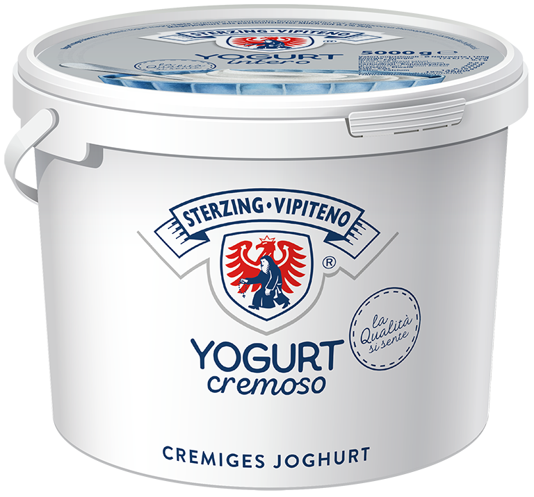 Skimmed milk yoghurt - 5000g - Natural