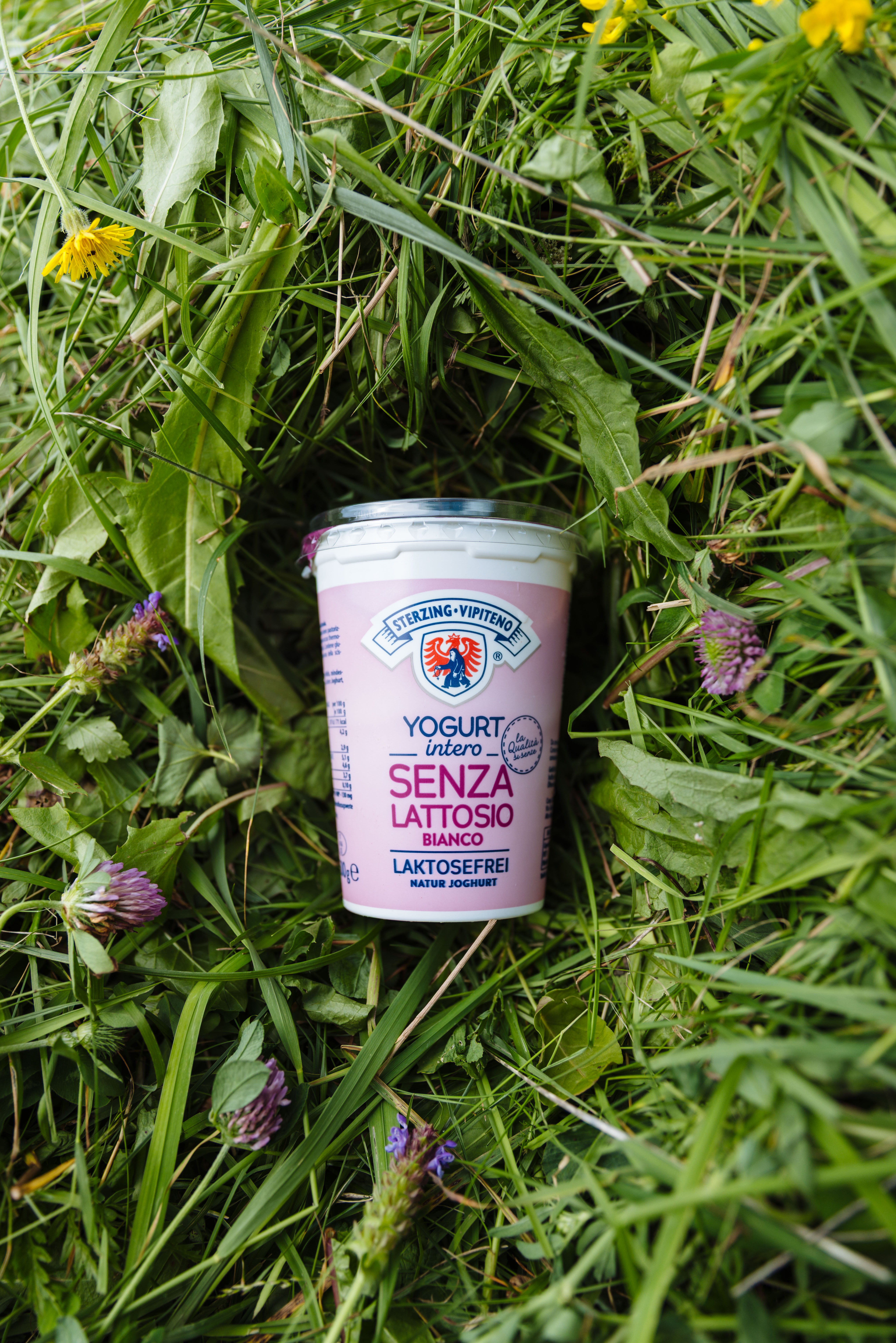 Laktosefreies Joghurt, eingebettet in grünem Gras