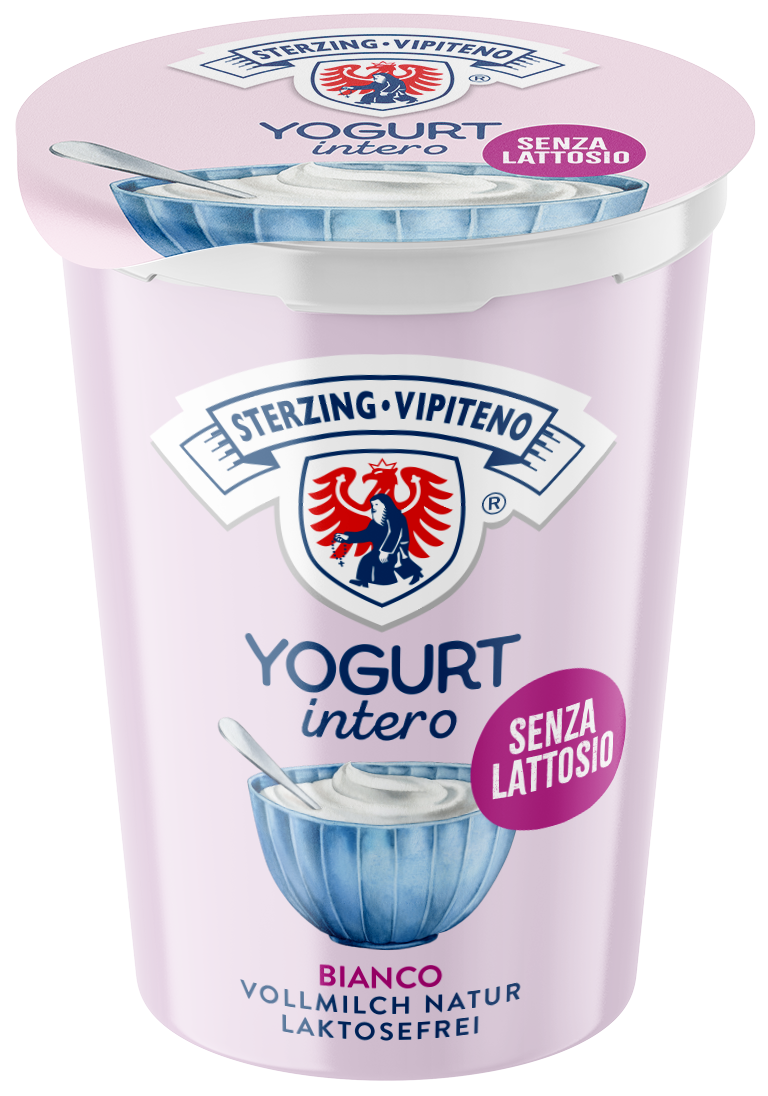 Yogurt intero senza lattosio - 500g - Bianco