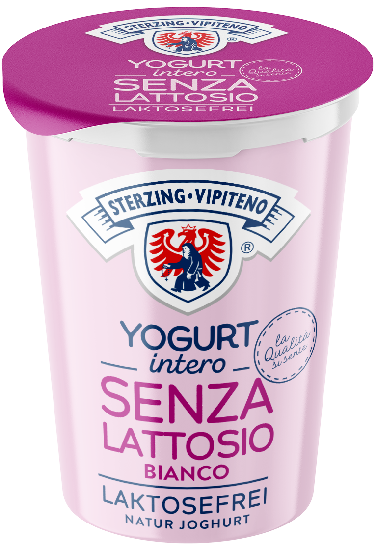Whole milk yoghurt lactose free - 500g - natural