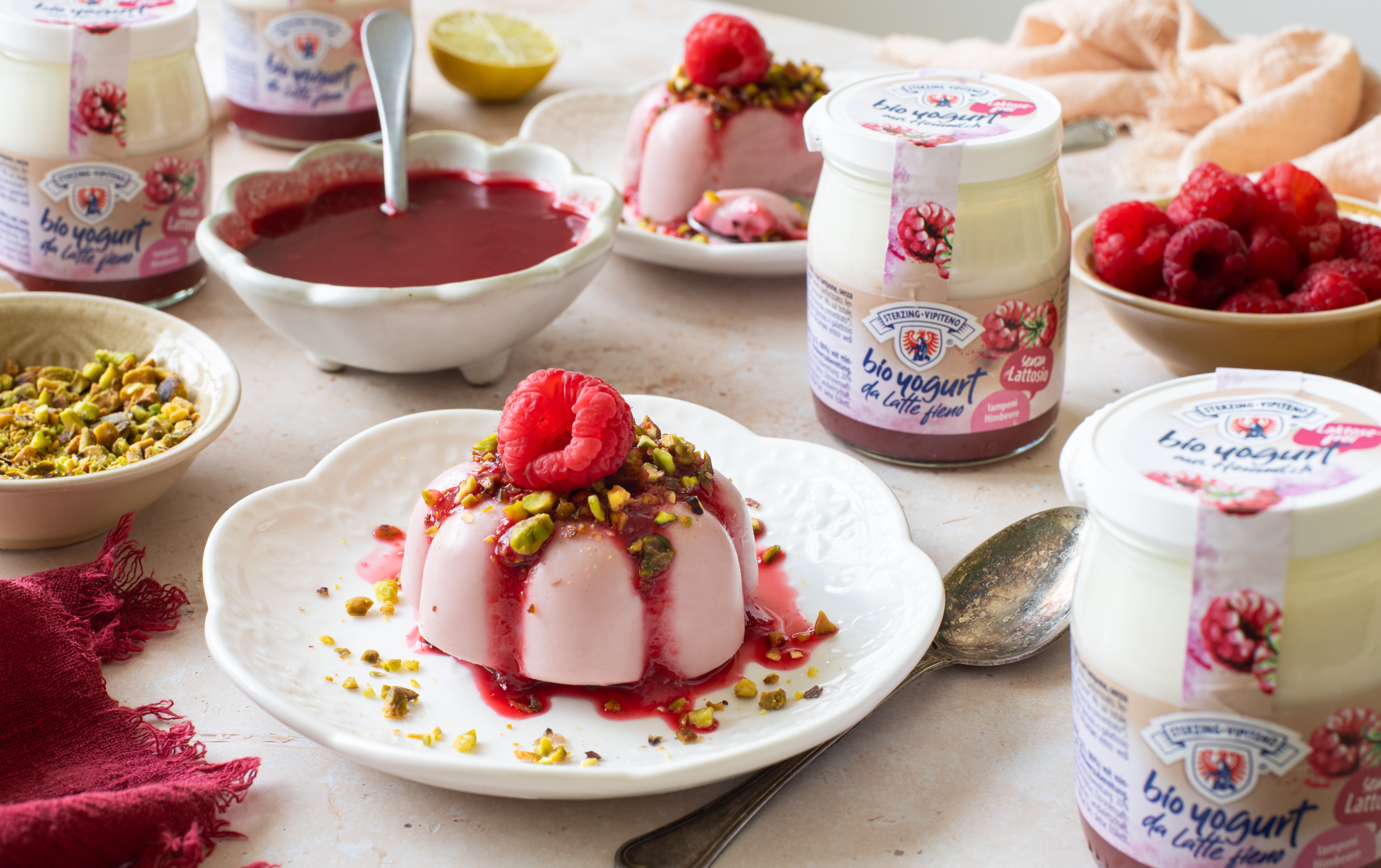 Zwei Joghurtpuddings mit Himbeersauce, Pistazienstückchen und frischen Himbeeren auf weißen Tellern, umgeben von Joghurtgläsern, einer Schale mit Himbeersauce und einer Schale mit Pistazien