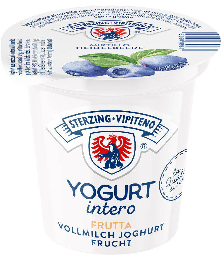 Whole milk yoghurt - 125g - Blueberry