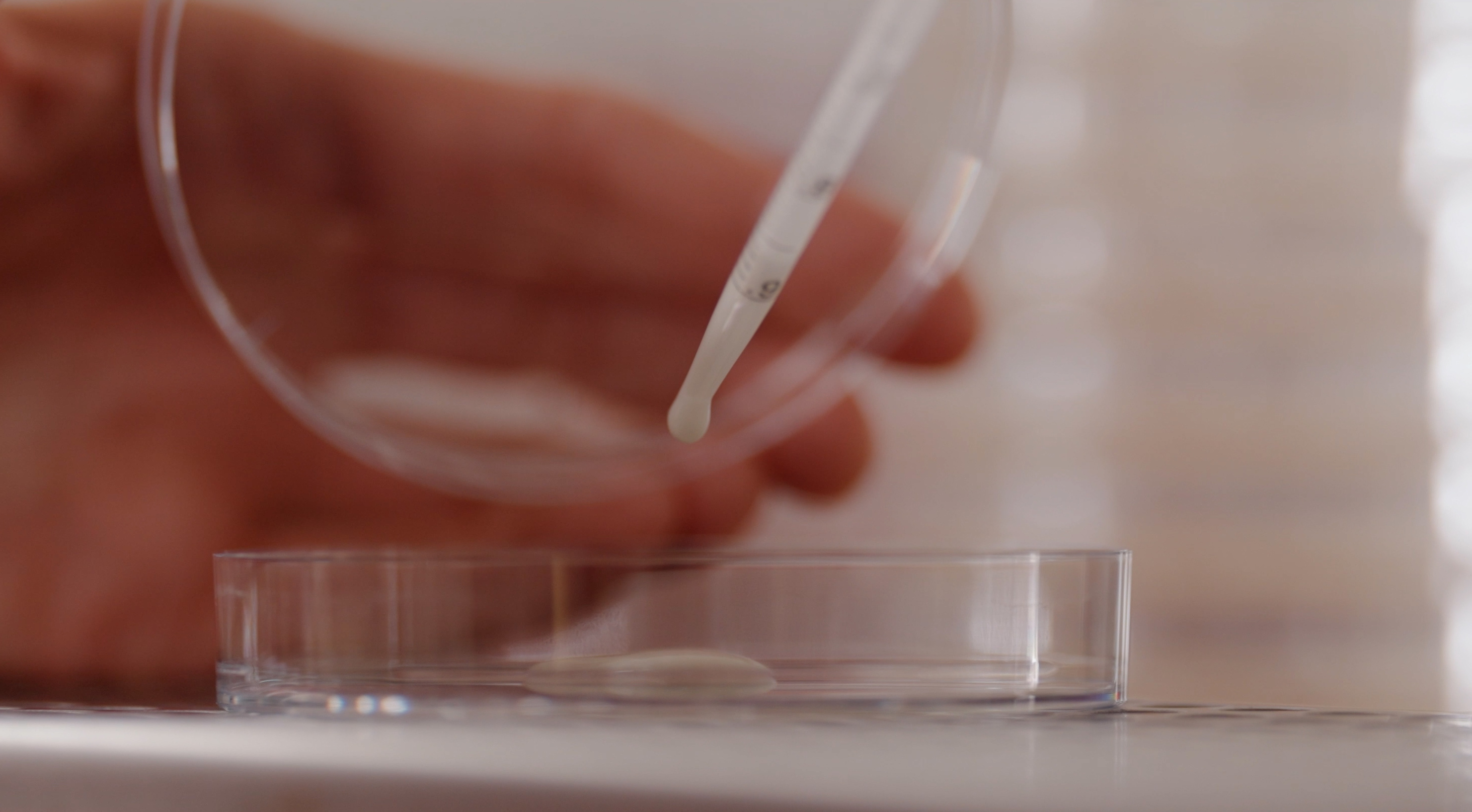 Flüssigkeit wird mit einer Pipette in eine Petrischale im Labor getropft