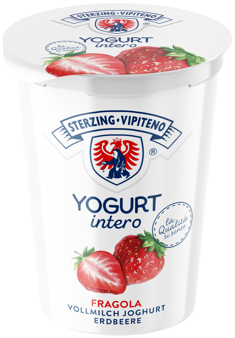 Whole milk yoghurt - 500g - Strawberry