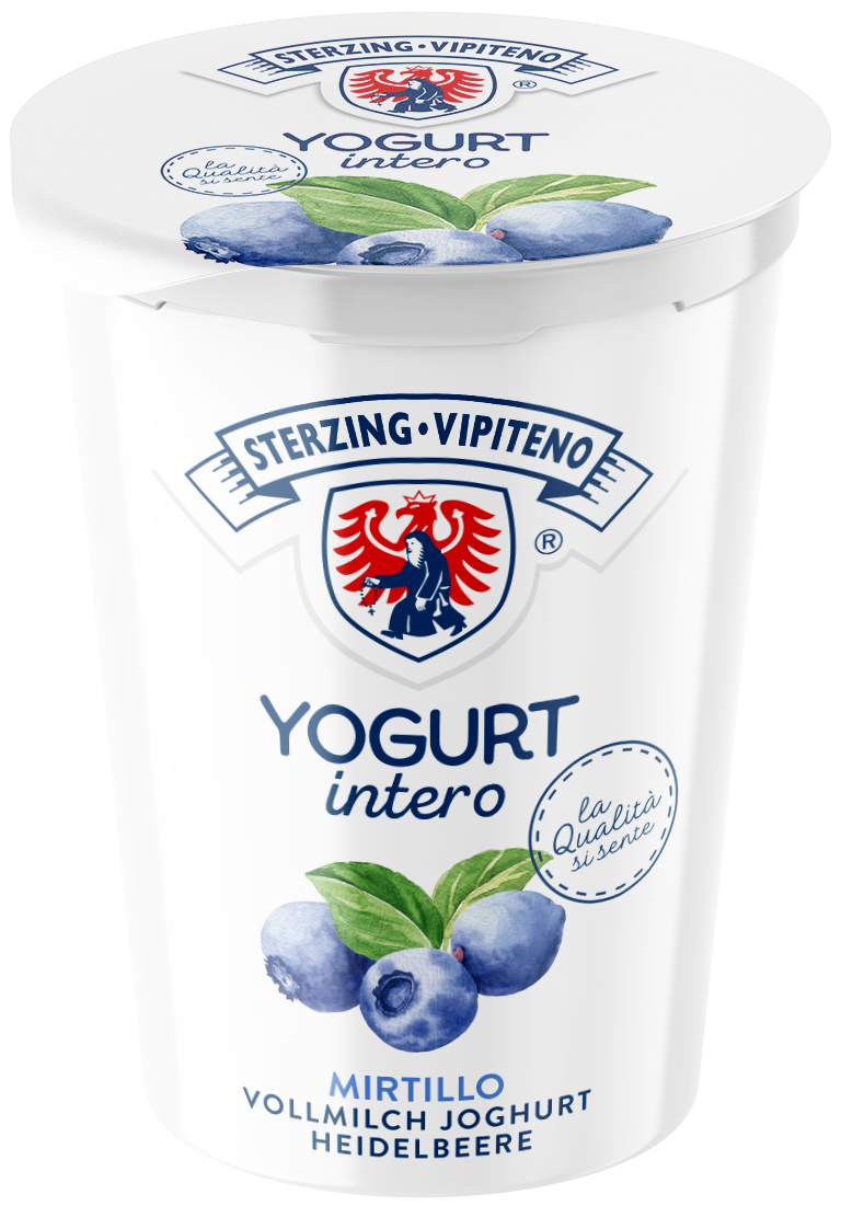 Whole milk yoghurt - 500g - Blueberry