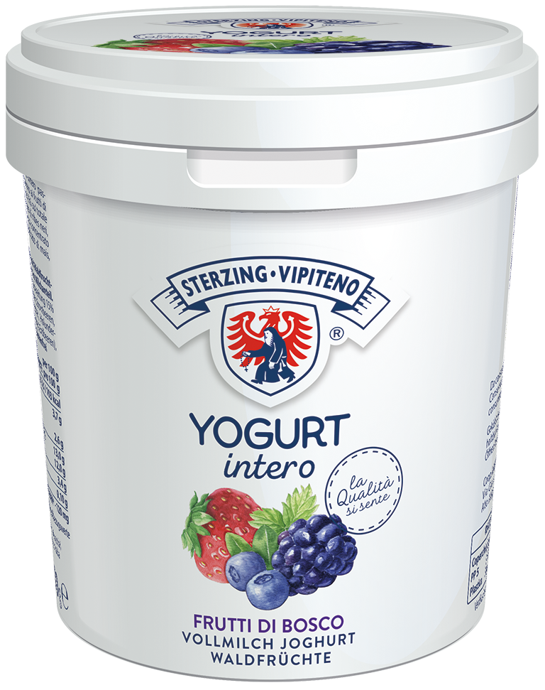 Full fat yoghurt - 1000g - wild berries