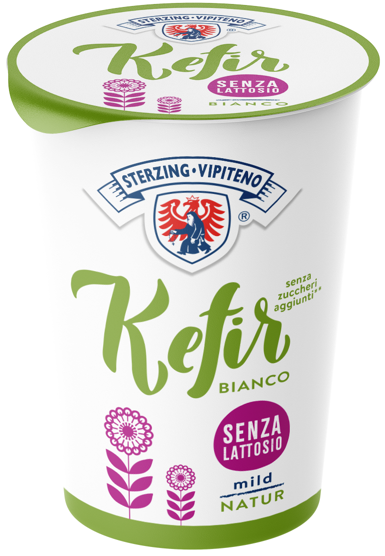 Kefir Intero Senza Lattosio - 450g - Bianco