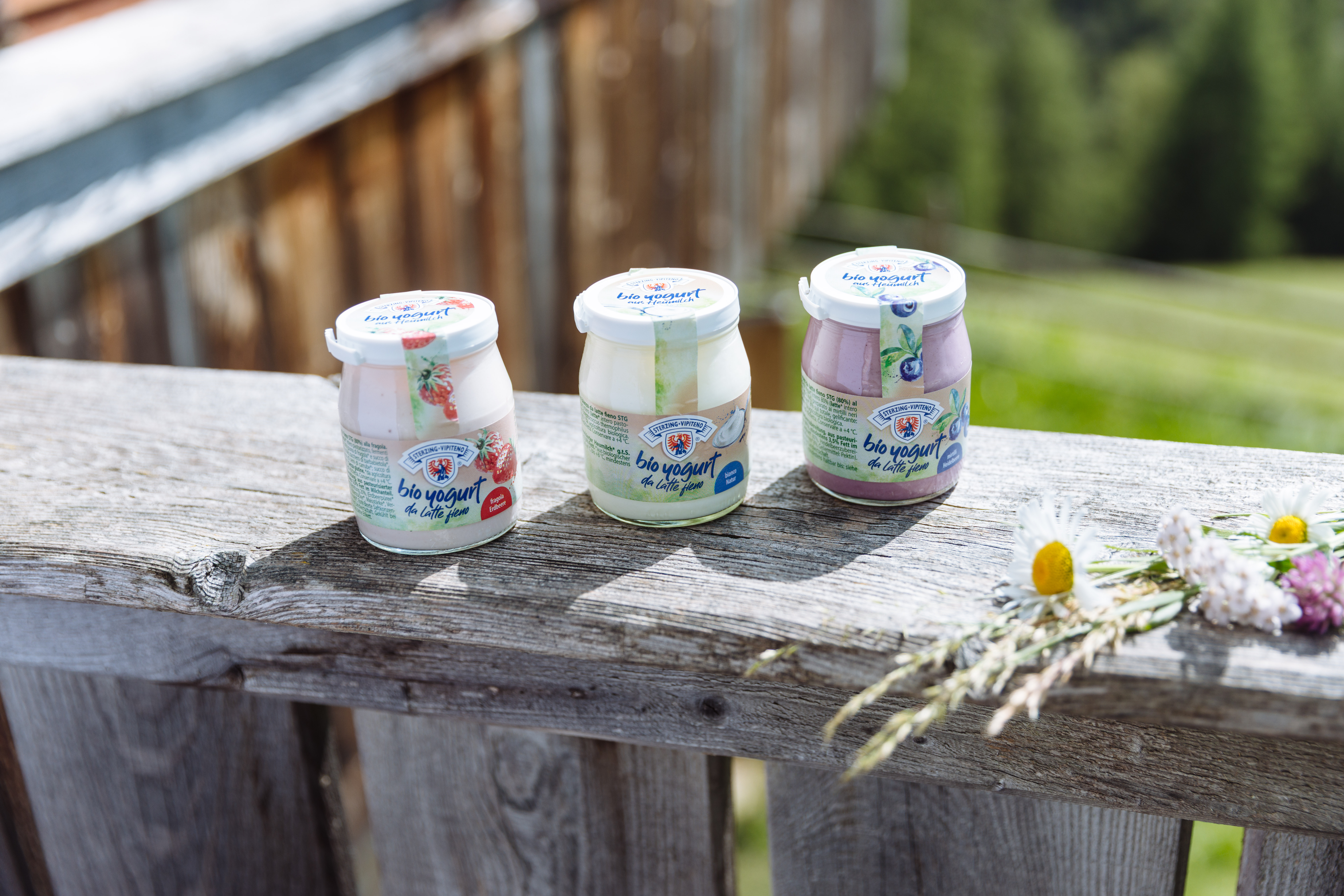 Tre yogurt biologici in vasetto della Latteria Vipiteno sulla ringhiera in legno di un balcone