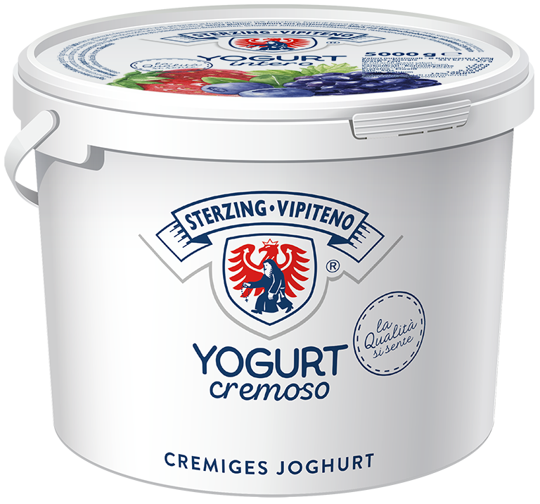 Whole Milk Yoghurt - 5000g - Wild berries
