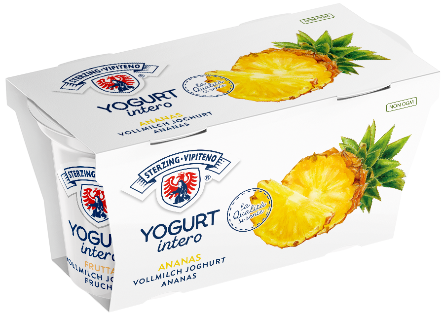 Whole milk yoghurt - 125g x 2 - Ananas