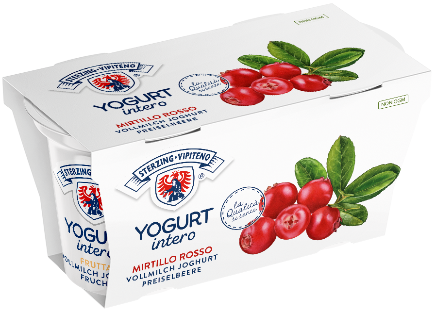 Whole milk yoghurt - 125g x 2 - cranberry