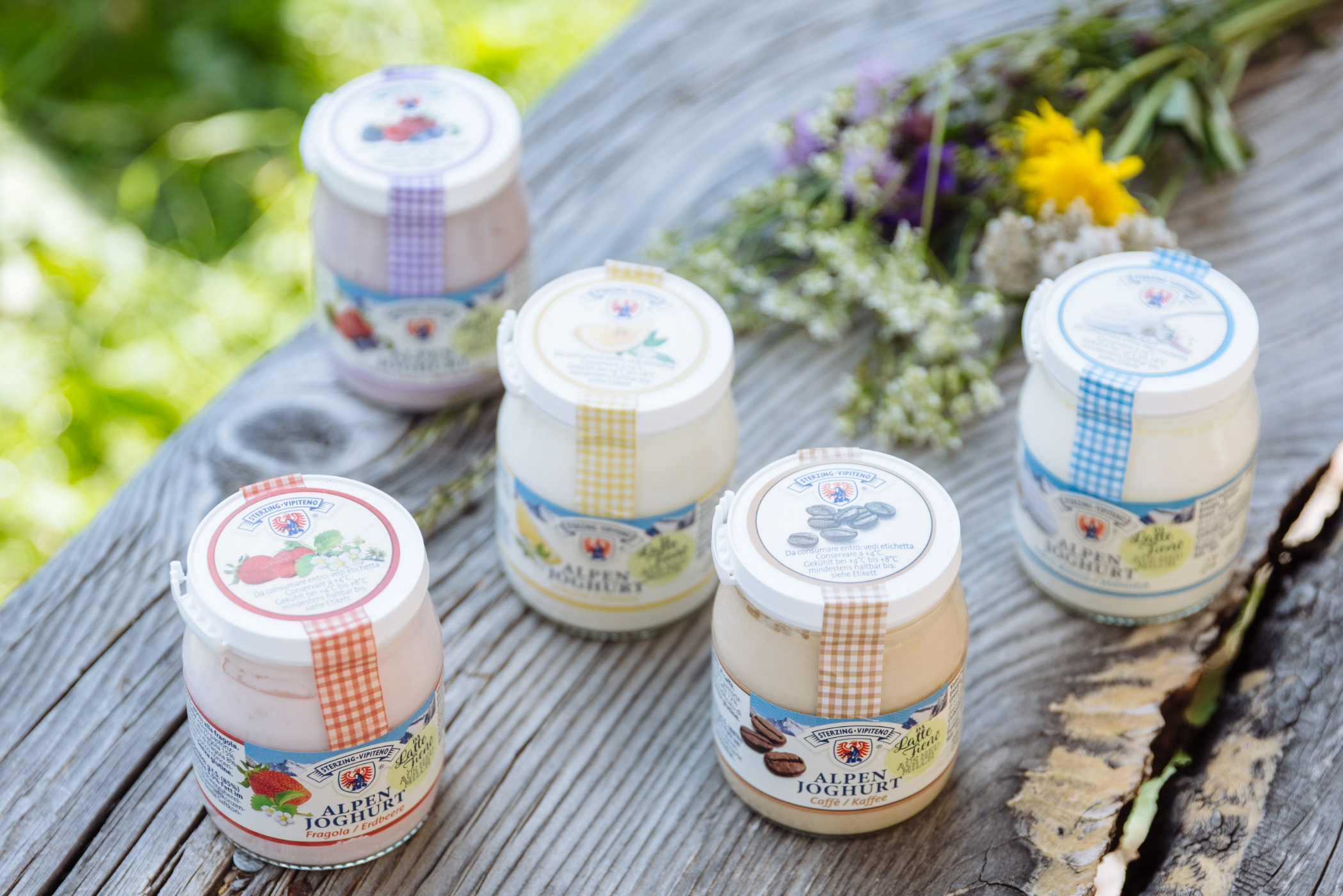 Diverse varietà dello alpenyogurt