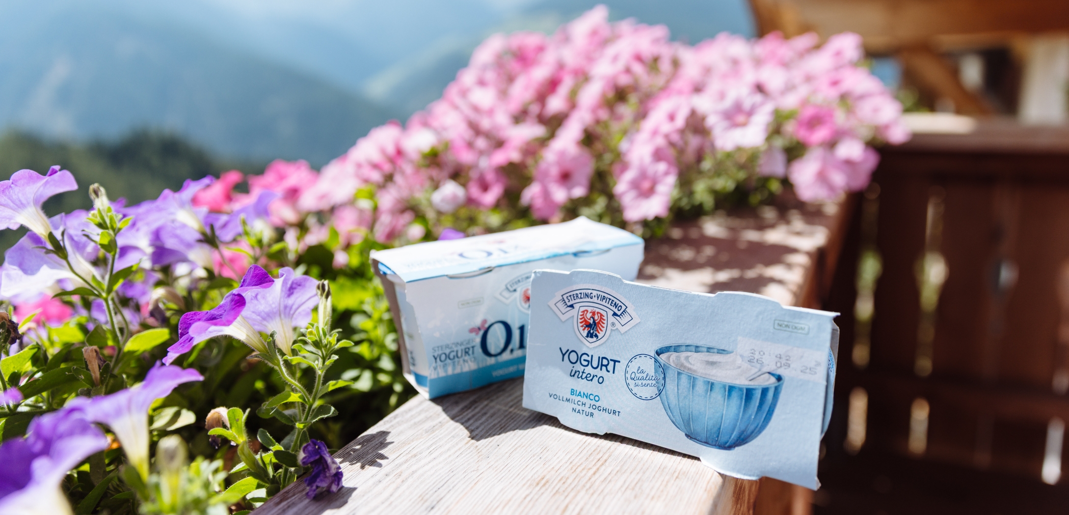 Yogurt naturale confezionato sul balcone. Piante da balcone colorate sullo sfondo.