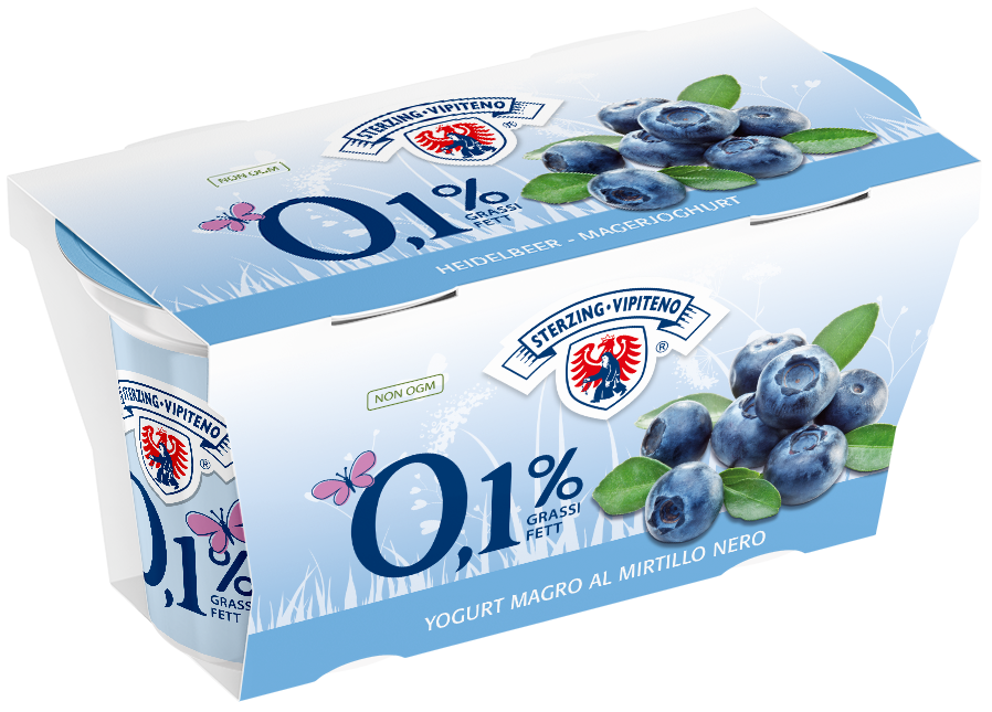 Skimmed Milk Yoghurt 0,1% - 125g x 2 - Blueberry