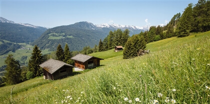 Biomilch